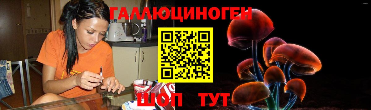 Псилоцибиновые грибы Cubensis Карачаевск