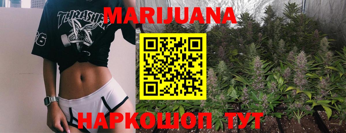 Карачаевск  Шишки марихуана конопля  Вход с VPN  Бошки Шишки White Widow  Бошки Шишки сатива 